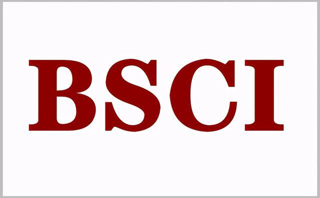 BSCI驗廠咨詢 如何做好工裝的整頓工作？